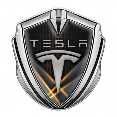 Tesla Bodyside Domed Emblem Silver Mango Color Hex Grey Classic Logo