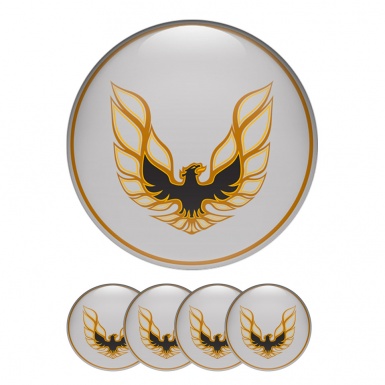 Pontiac Silicone Stickers Wheel Center Cap Grey Ring