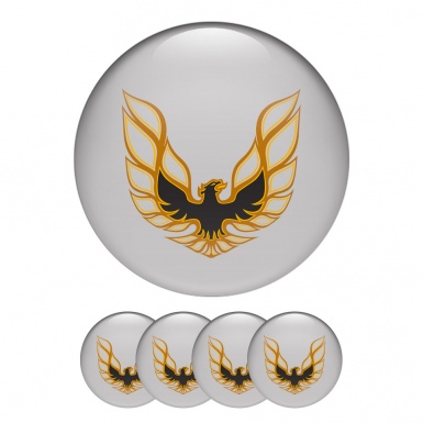 Pontiac Silicone Stickers Wheel Center Cap Grey