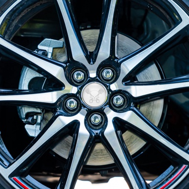 Grenzgaenger Emblem for Wheel Center Caps Pearl White Version