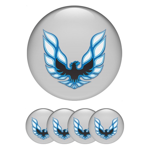 Pontiac Wheel Emblem for Center Caps Grey Fill Blue Firebird Edition