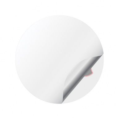 Pontiac Stickers for Center Wheel Caps Grey Red Outline Judge Variant