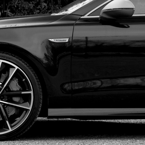 Audi RS Fender Bodyside Emblem Silver Grey Elements Black Sport Logo