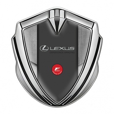 Lexus Emblem Trunk Badge Silver Tarmac Texture Frame F Sport Logo