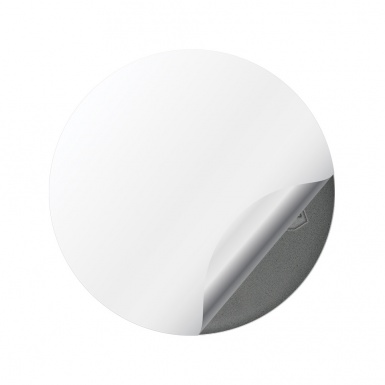BBS Domed Stickers Wheel Center Cap Fine Plaster