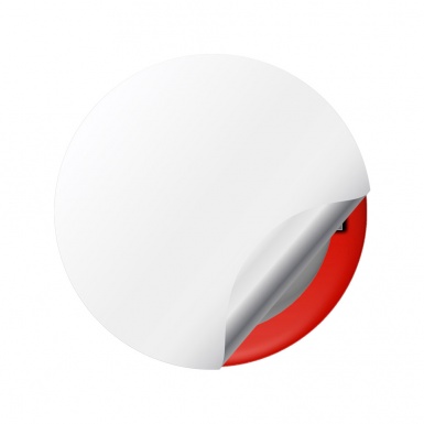 Nissan Wheel Stickers Center Cap Grey Red Ring