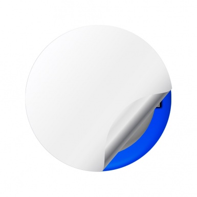 Nissan Wheel Stickers Center Cap Grey Blue Ring