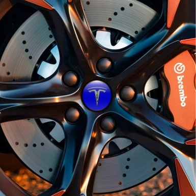 Tesla Wheel Stickers Center Cap Navy