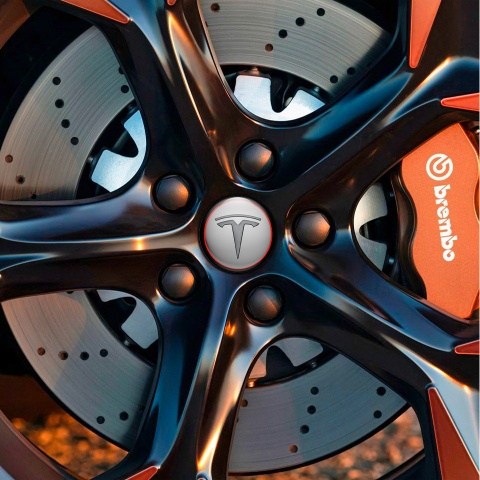 Tesla Wheel Emblems Center Cap Grey Red