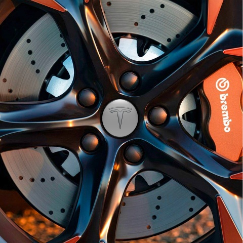Tesla Wheel Emblem Stickers Center Cap 3D Grey