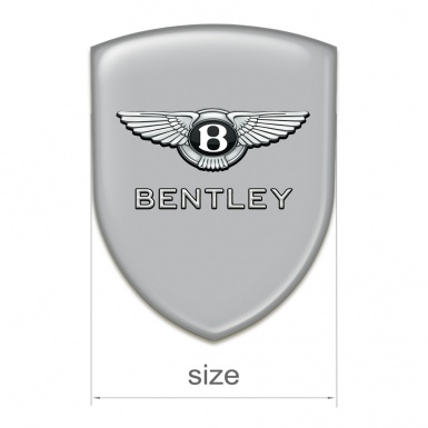 Bentley Emblem Exterior High Quality Gray Design 