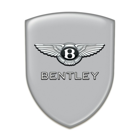 Bentley Emblem Exterior High Quality Gray Design 
