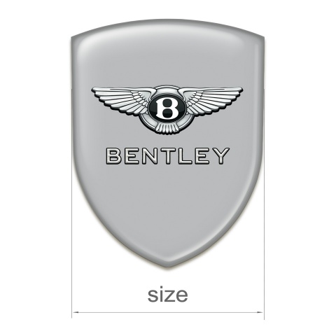Bentley Emblem Exterior High Quality Gray Design 