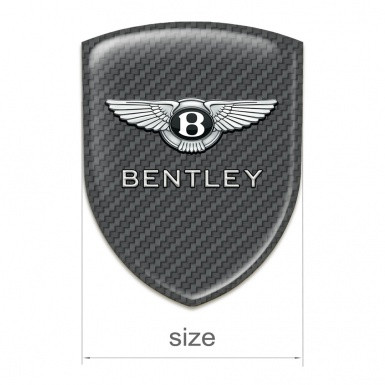 Bentley Silicone Shield Premium Quality Carbon Design 