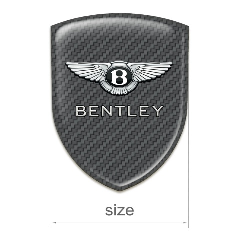 Bentley Silicone Shield Premium Quality Carbon Design 