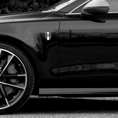 Bentley Auto Emblem High End Carbon with White Tape Decoration 