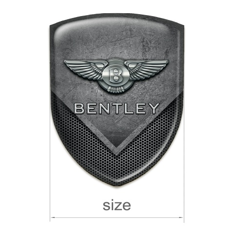 Bentley Car Interior Badge Scratched Stone with Perforated Metal Mixed