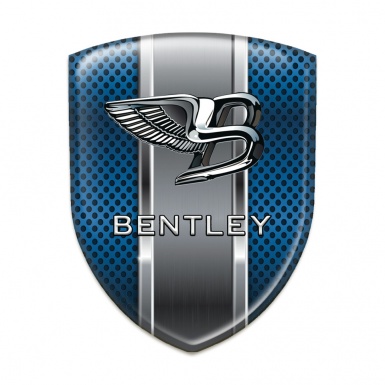 Bentley Domed Emblem Blue Grille with metal Panel style 