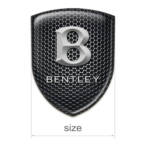 Bentley Auto Emblem Perforated Steel Print Stone Logo 
