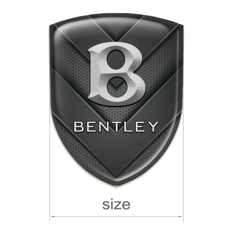 Bentley Silicone Shield Black V Shape Details Edition 