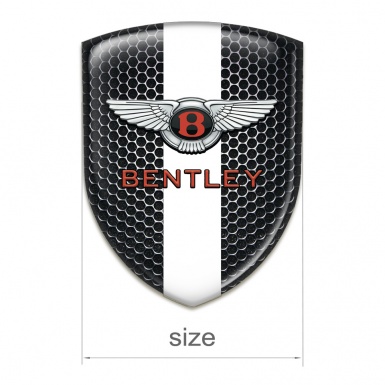 Bentley Car Interior Badge Perforated Steel with White Ribbon Pattern 