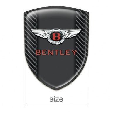 Bentley Silicone Shield Black carbon Example 