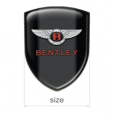 Bentley Silicone Shield Black withh Central Panel Model 