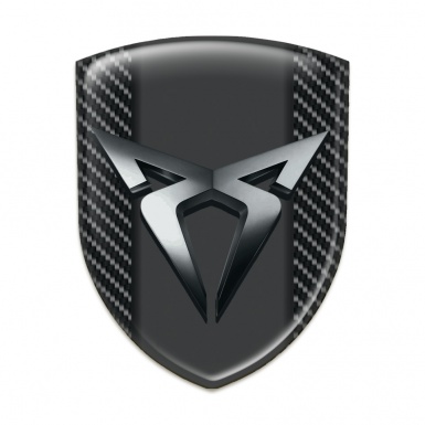 Seat Cupra Emblem Interior Black Carbon Racing Edition type 