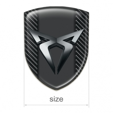 Seat Cupra Emblem Interior Black Carbon Racing Edition type 
