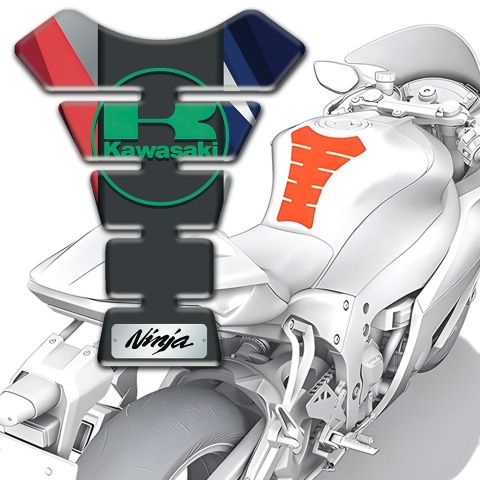 Kawasaki Tank Pad Motorbike Multicolored Decoration Base Green Logo Style 